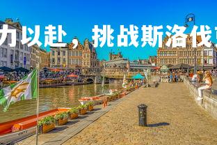 c7娱乐-比利时全力以赴，挑战斯洛伐克新战术，比利时sobinco